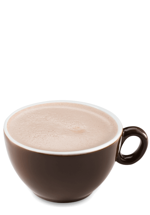 Chocolate Beverage Light 16oz