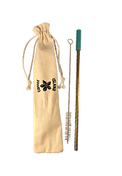 Reusable Metal Straw (Gold - Aqua)